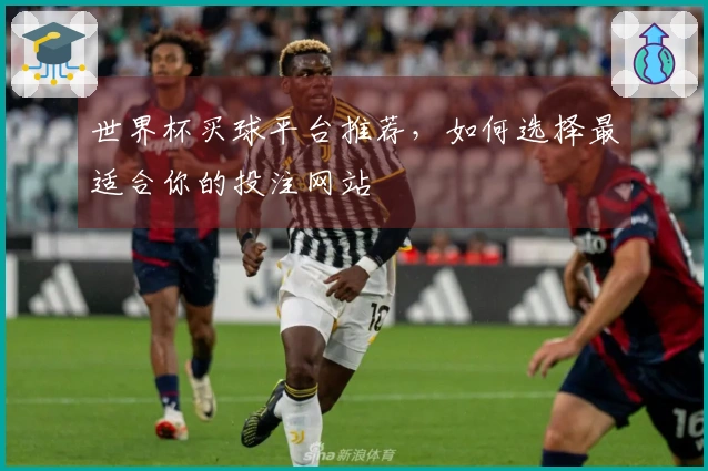 世界杯买球平台推荐，如何选择最适合你的投注网站