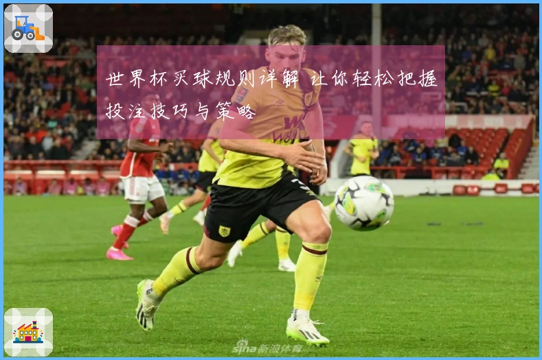 世界杯买球规则详解 让你轻松把握投注技巧与策略