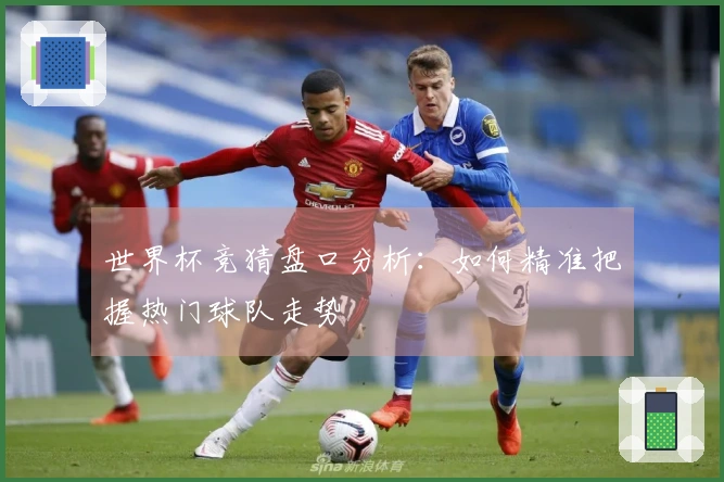 世界杯竞猜盘口分析:如何精准把握热门球队走势