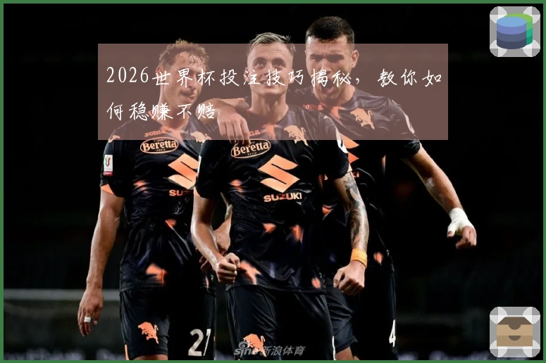 2026世界杯投注技巧揭秘，教你如何稳赚不赔