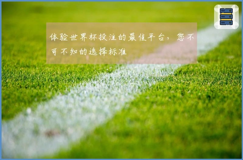 体验世界杯投注的最佳平台，您不可不知的选择标准