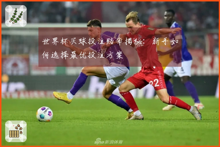 世界杯买球投注赔率揭秘：新手如何选择最优投注方案
