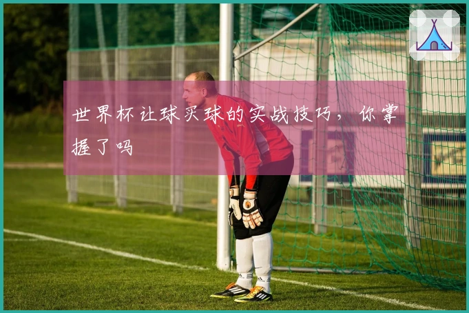 世界杯让球买球的实战技巧，你掌握了吗